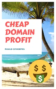 Cheap Domain Profit