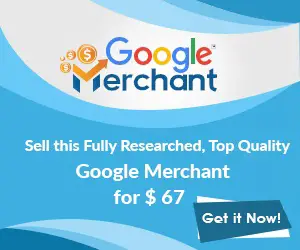 Google Merchant PLR