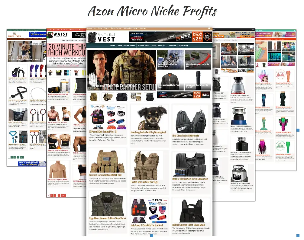 Azon Micro Niche Profits