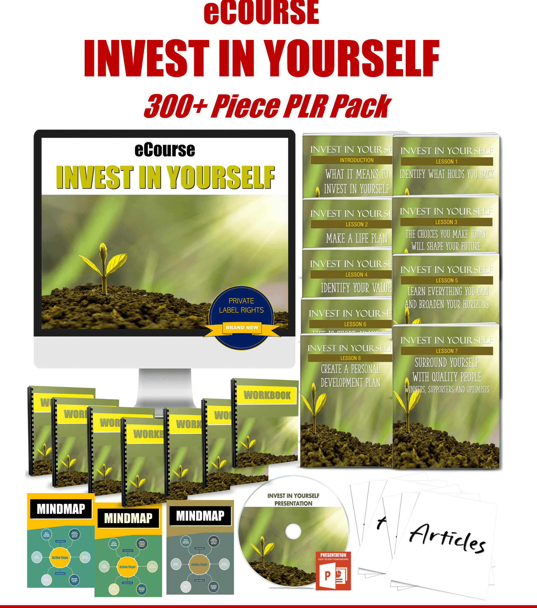 Invest In Yourself PLR