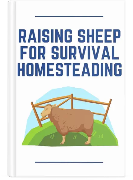 Raising Sheep for Survival Homesteading