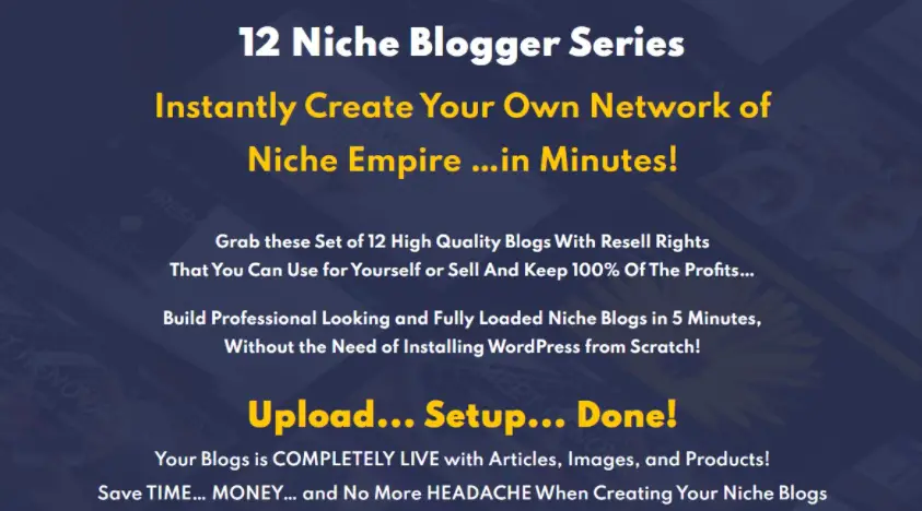 12 Niche Blogger Series