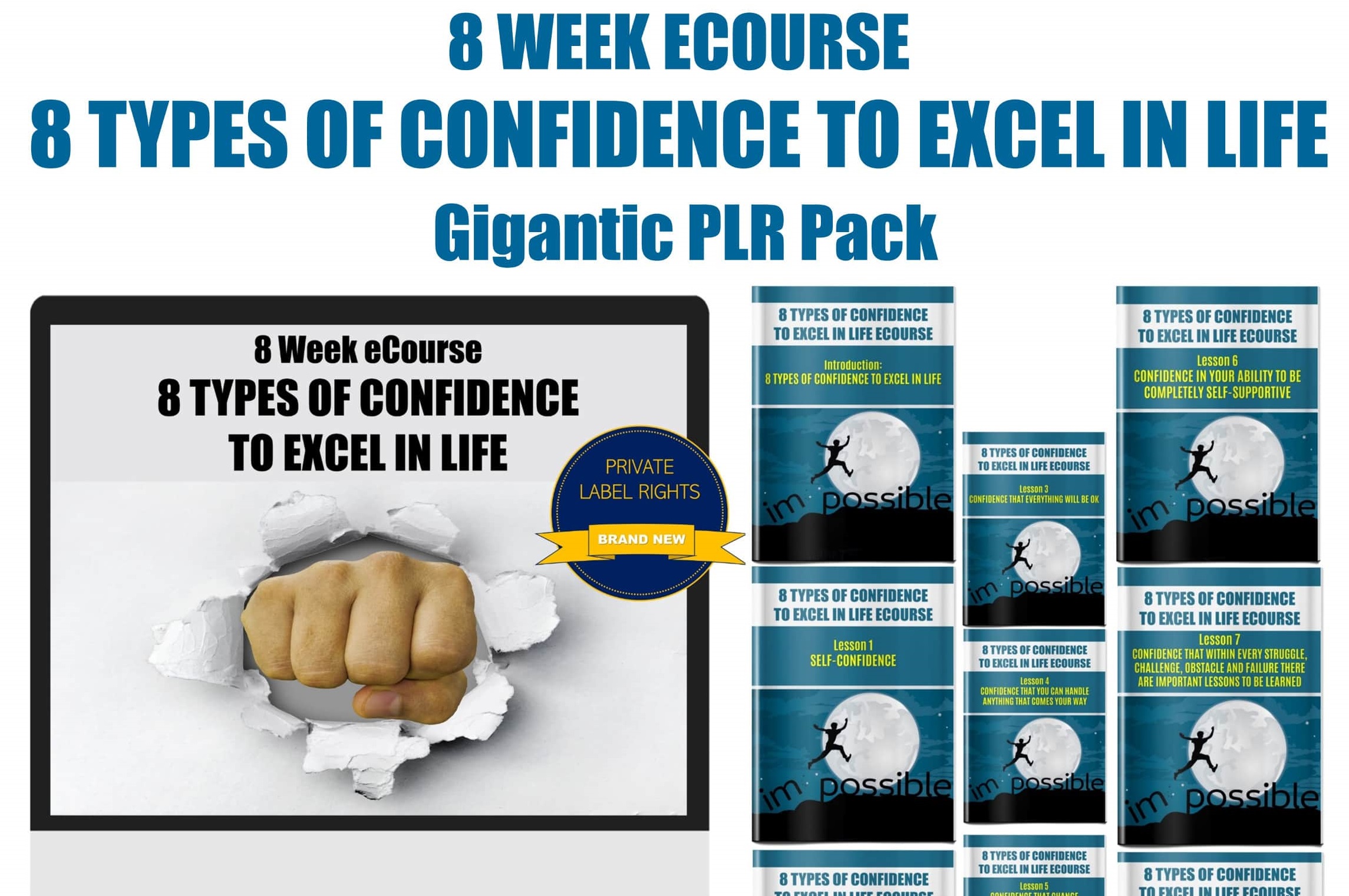 8 Types Of Confidence To Excel In Life eCourse PLR bundle