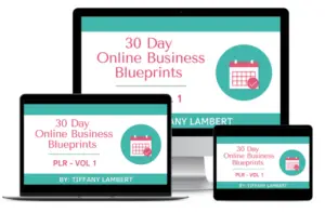 30 Day Online Business Blueprints PLR Vol 1