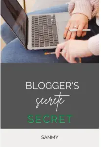 Blogger's Secrets