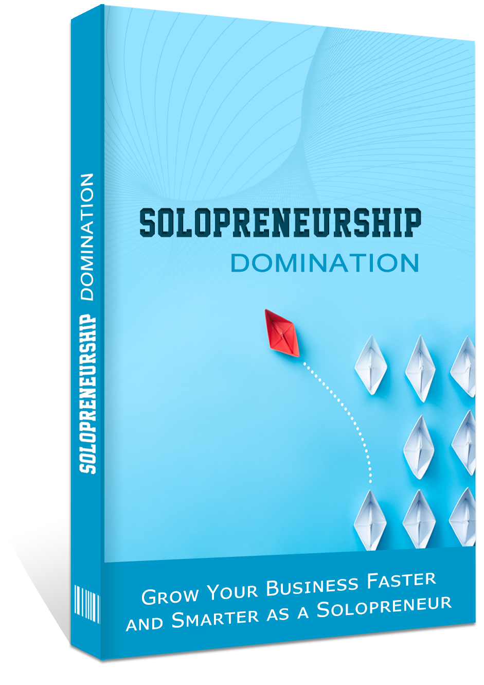 [Hot PLR] Solopreneurship Domination