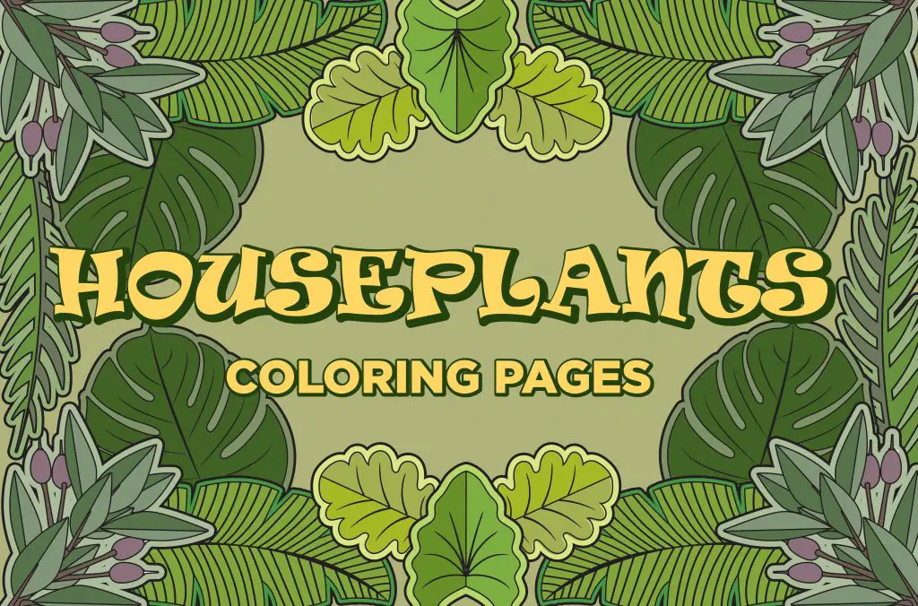 Houseplants Coloring Pages PLR