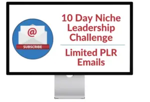10-Day Niche Leadership Challenge