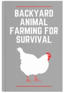 Backyard Animal Farming for Survival
