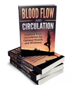 Blood Flow and Circulation PLR