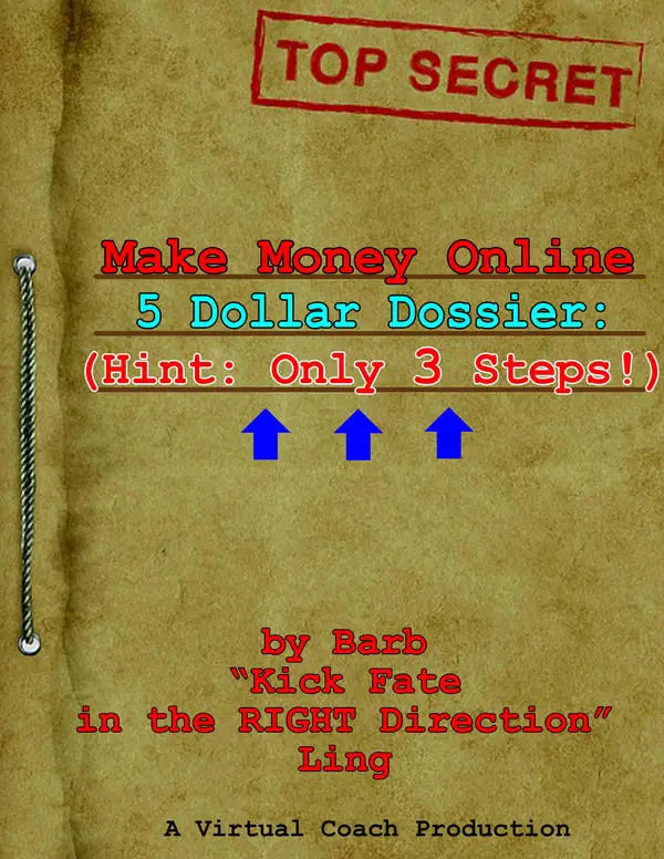 Summer $5 Dollar Dossier