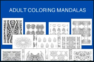 Coloring Mandalas Patterns Pack PLR