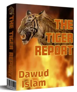 The Tiger Report PLR