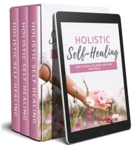 [PLR] Holistic Self-Healing