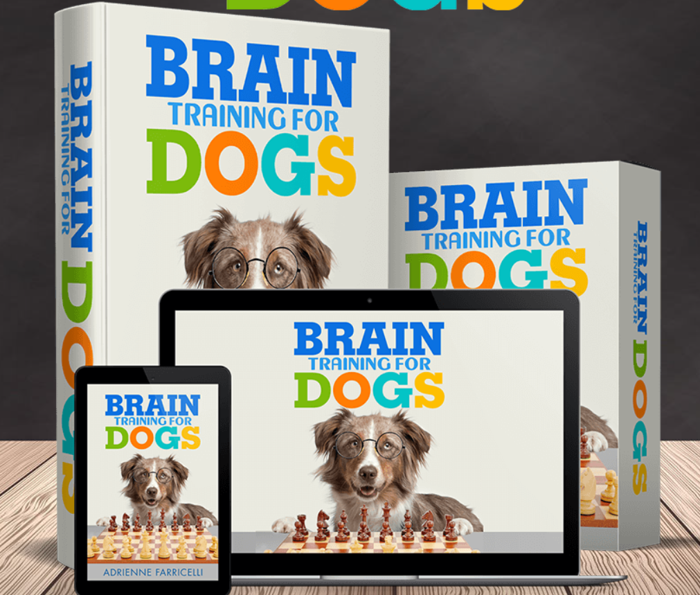 Brain Training For Dogs Develops Your Dog's "Hidden Intelligence"