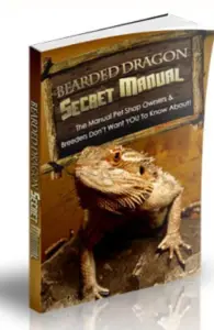 Bearded Dragon Secret Manual