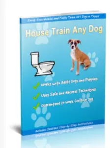 Housetrain & Potty Train Any Dog