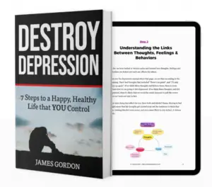 THE DESTROY DEPRESSION™ SYSTEM