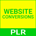Website Conversions Best Practices - Full PLR