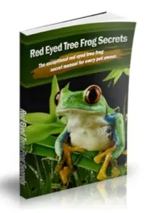 Red-Eyed Tree Frog Secrets