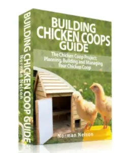 Building Chicken Coops Guide