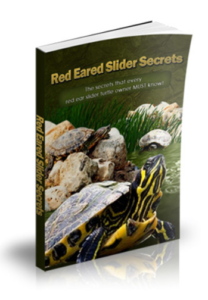 Red Eared Slider Secrets