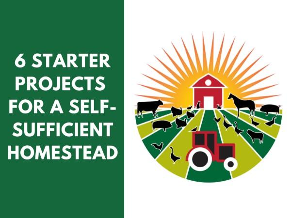 6starterprojects