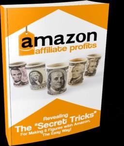 Amazonaffiliateprofits