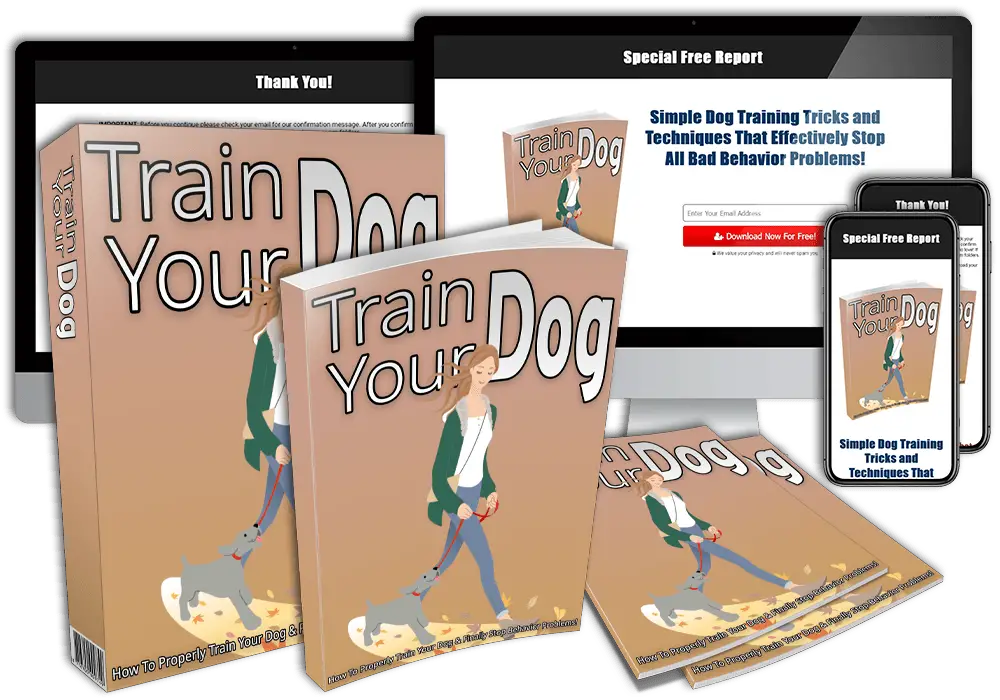 Trainyourdogplr