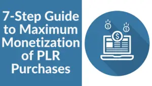 7-Step Guide to Maximum Monetization of PLR Purchases