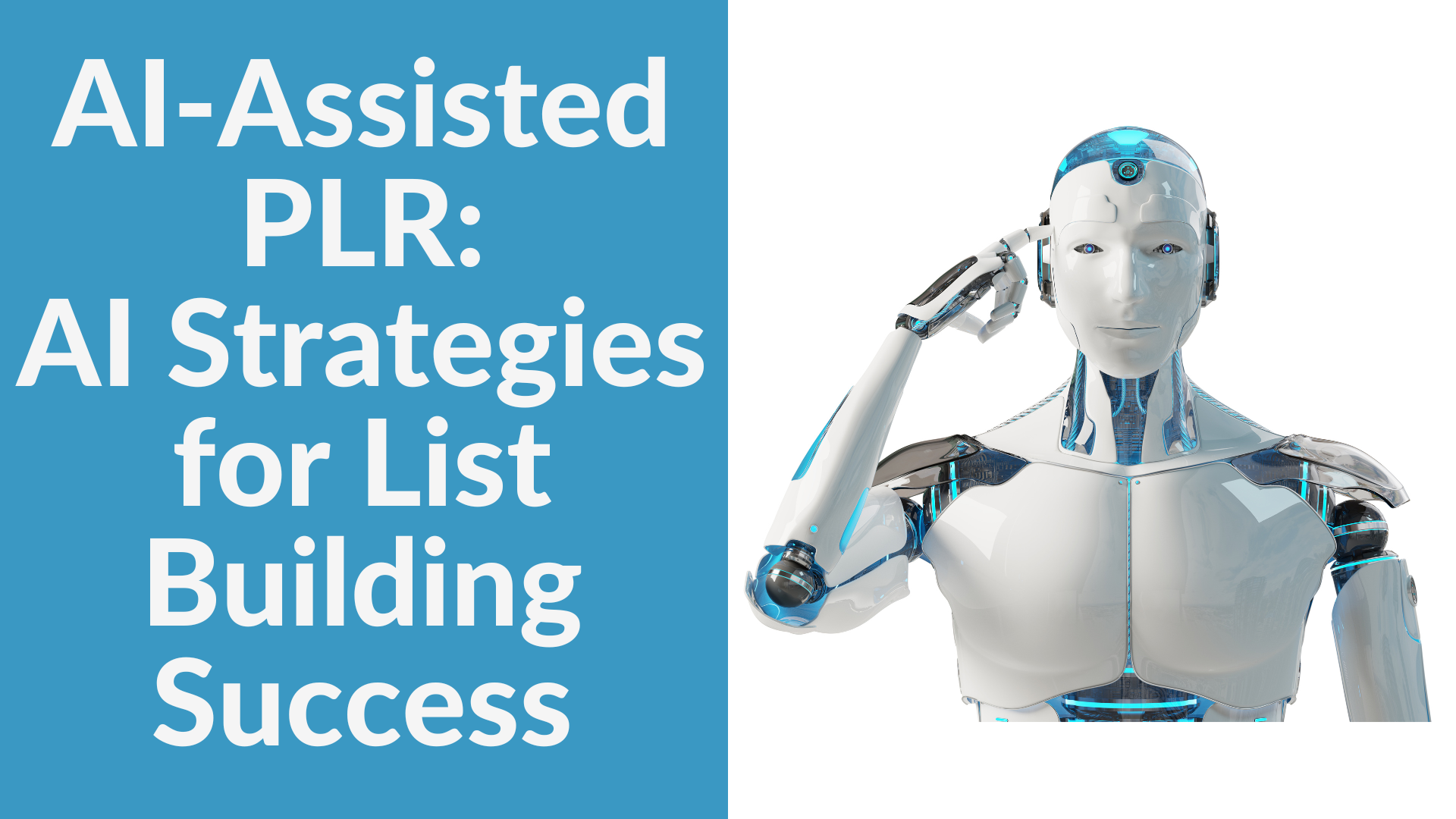 List Building Success PLR