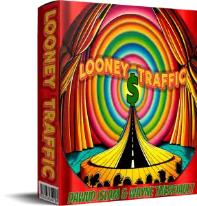 Looneytraffic