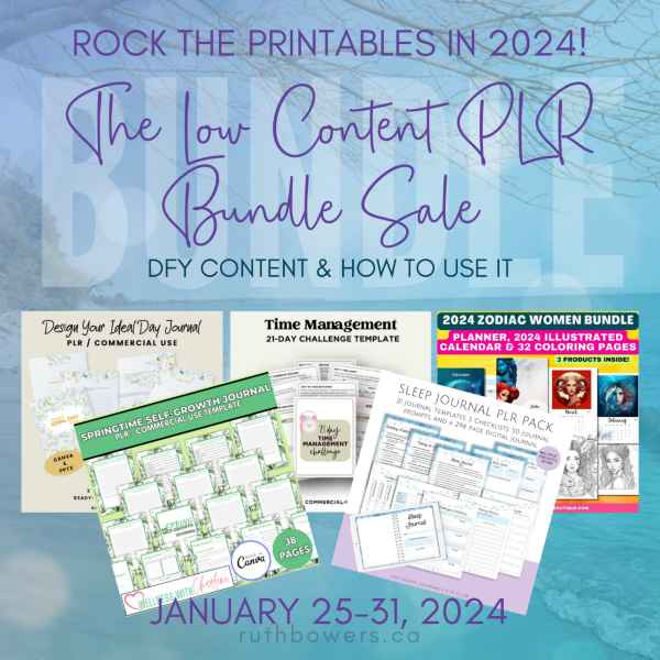 2024lowcontentplrbundle