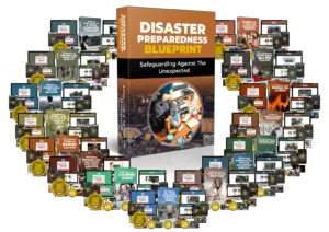 Disaster Preparedness Blueprint